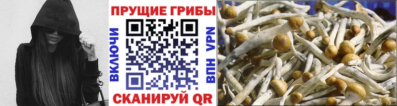 hydra сайт Тырныауз Псилоцибиновые грибы мухоморы
